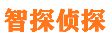 麒麟市侦探调查公司